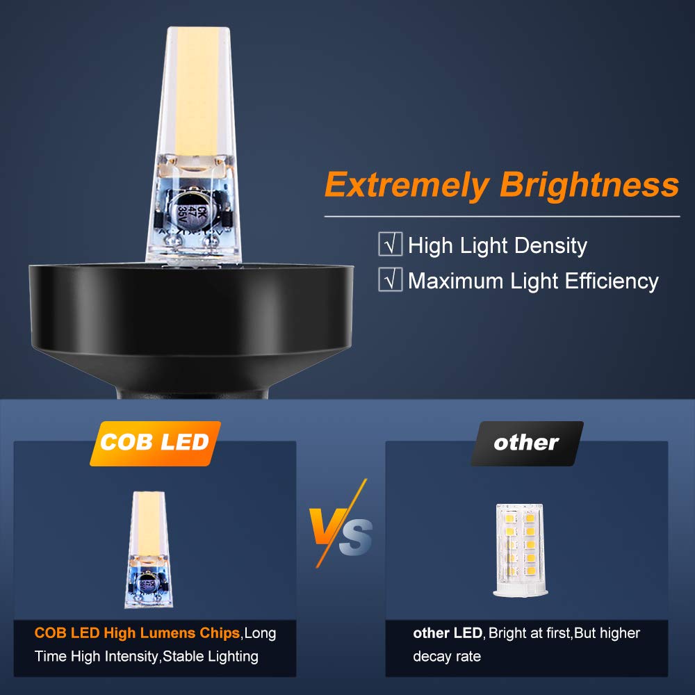 360 Degree White LED Fold Down - Fishing Boat Anchor review and price